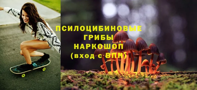 Псилоцибиновые грибы Magic Shrooms  купить наркотики сайты  сайты даркнета наркотические препараты  Добрянка 